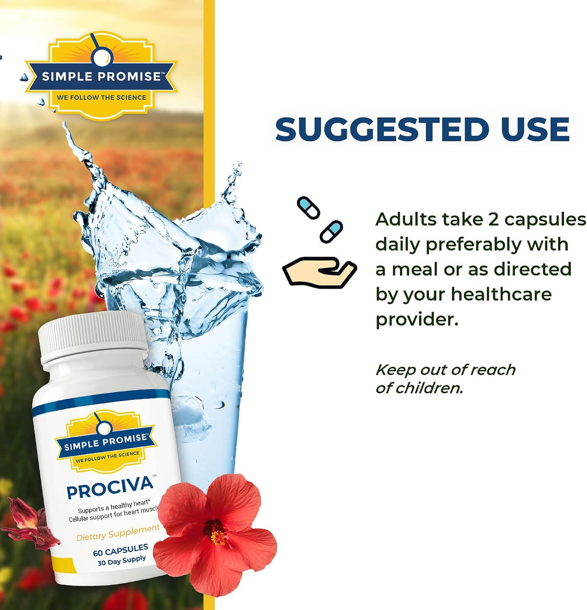 Prociva - Arjuna Bark Extract Supplement - Healthy Blood Pressure Support | Ayurvedic Heart Formula, Circulation and Rhythm Support, Folic Acid and Magnesium, Simple Once-Daily Routine, Non-GMO