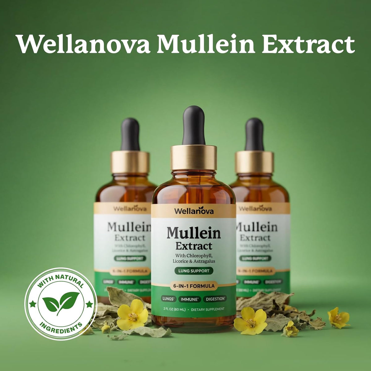 Mullein Drops for Lungs - Mullein Leaf Extract Supplement | for Women & Men, 6-in-1 Lung Detox And Bronchial Cleanse For Smokers, Respiratory Health Support, 2 Fl Oz