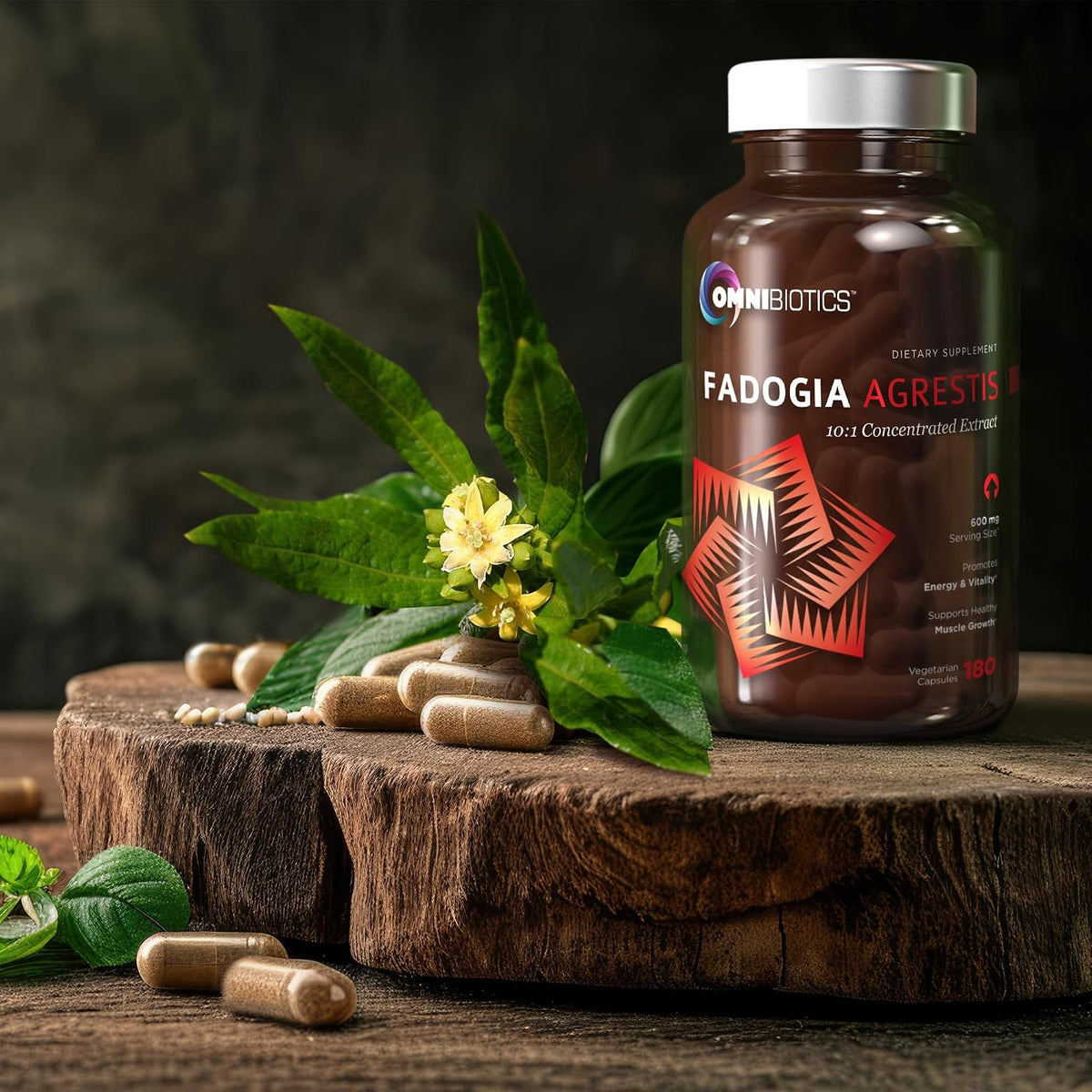 OmniBiotics Fadogia Agrestis 600mg Per Serving (180 Capsules) - 100% Standardized 10:1 Extract Supplement for Muscle Growth & Recovery, Increase Energy, Athletic Performance (90 Days)
