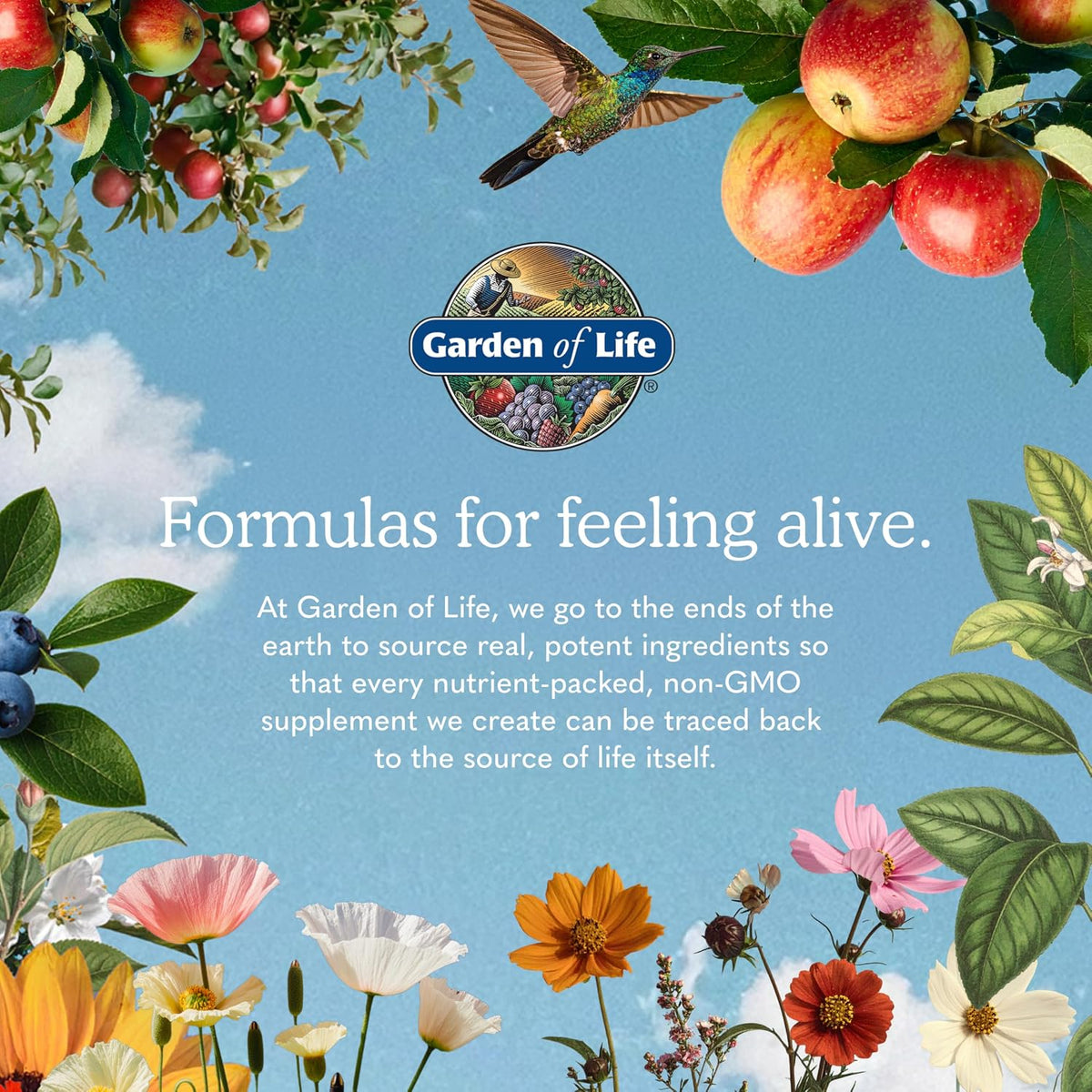 Garden of Life Protein Powder, Vegan Protein Powder, BCAA, Probiotics & Digestive Enzymes, Gluten & Lactose Free, Vanilla, 1.5 LB