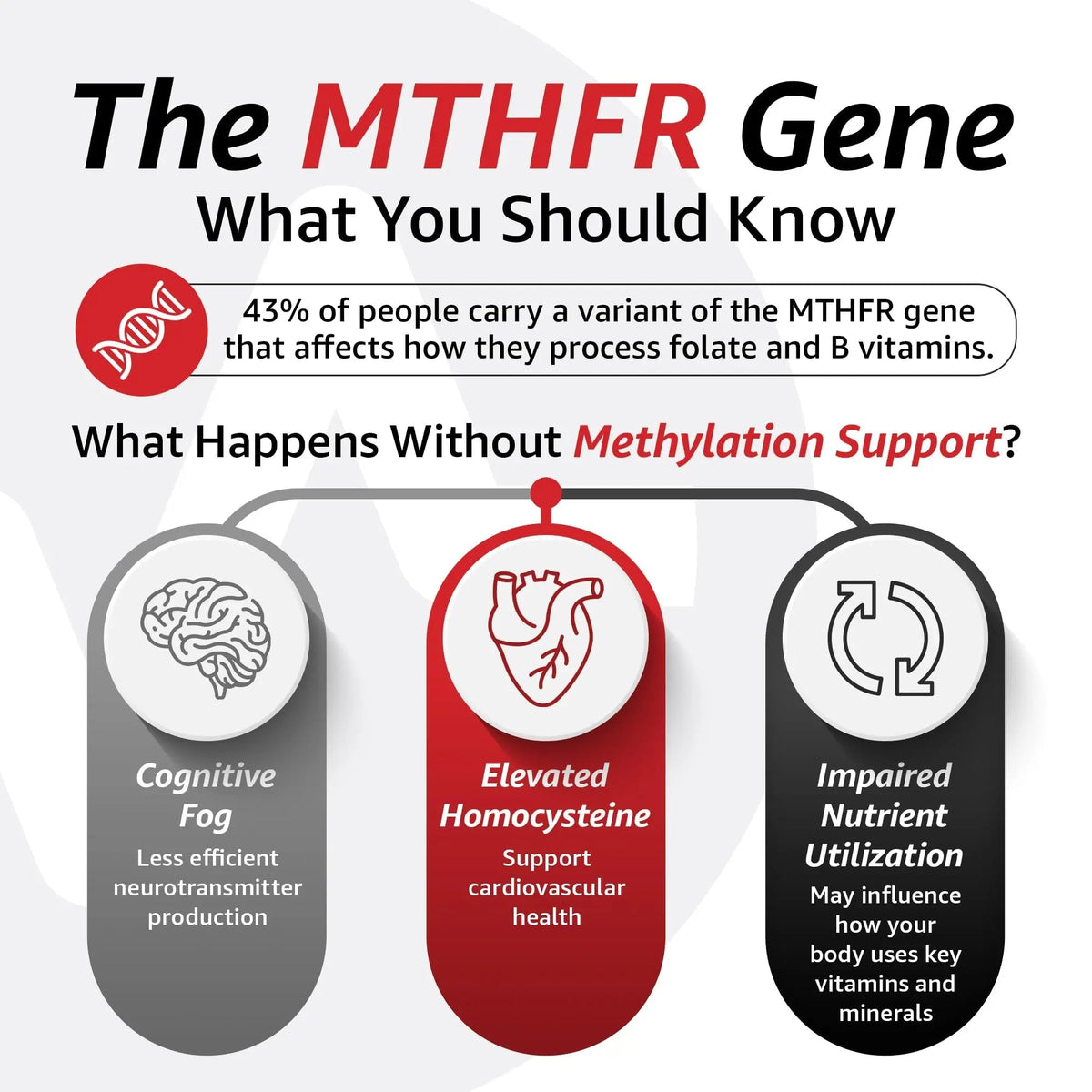 10X Health Children’s Methylated Multivitamin Gummies - 60 Count Kids Multivitamin Gummies, Complete Daily Nutrition - PrimeBioHealth - canada supplements