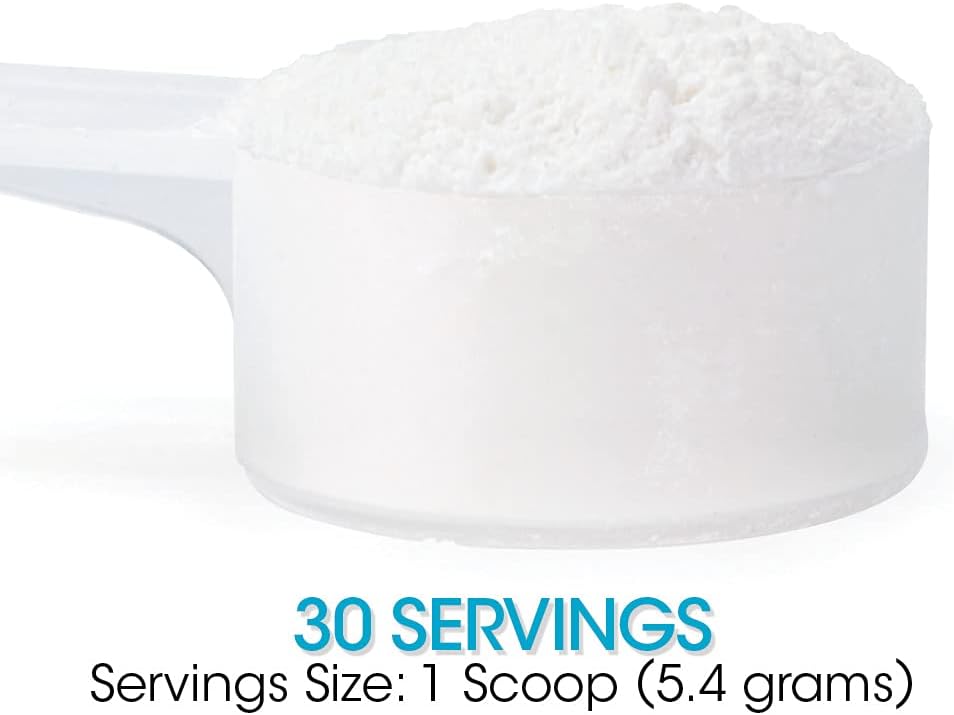 Silver Fern Gut Repair - Digestive Health Supplement Powder | L-Glutamine, Curcumin, Zinc & Ascorbic Acid (1 Tub - 30 Servings)