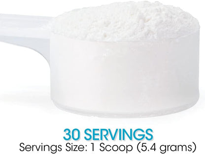 Silver Fern Gut Repair - Digestive Health Supplement Powder | L-Glutamine, Curcumin, Zinc & Ascorbic Acid (1 Tub - 30 Servings)