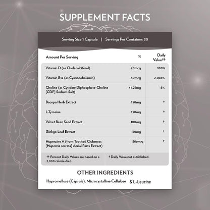 TERRA ORIGIN Healthy Mind and Memory Support Supplement | Cognitive Memory Matrix | Nootropic CDP, Bacopa, L-Tyrosine, Huperzine A, Ginko, B12 | Non GMO, Gluten Free, Dairy Free | 30 Capsules