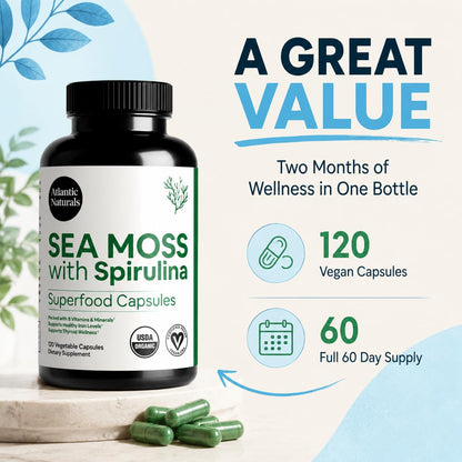 Atlantic Naturals Sea Moss with Beet Root Capsules - Premium Quality Multivitamin Supplement - Sea Moss Superfood to Support Immune Health, Blood Flow, Joint Health & Athletic Performance - 120 ct