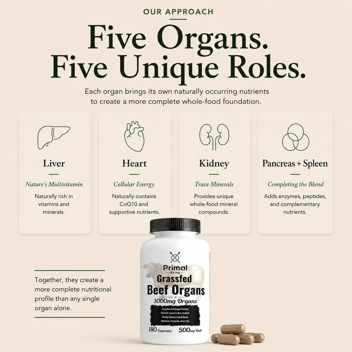 Primal Being Grassfed Beef Organ Complex - Liver, Heart, Pancreas, Spleen, & Kidney- Supports Overall Health & Performance - 180 Capsules, 3000mg per Serving