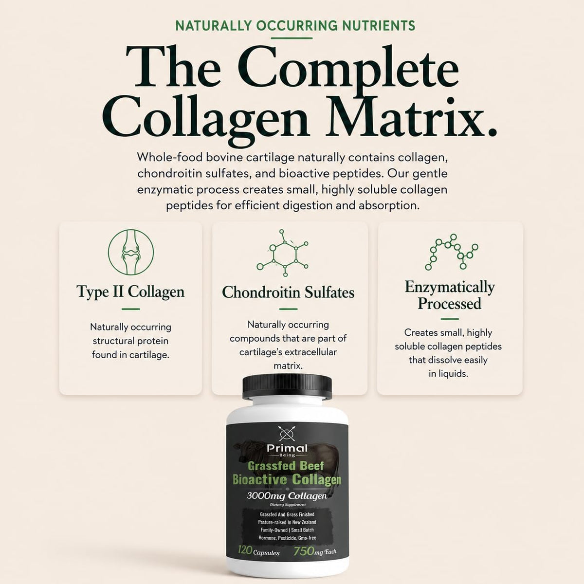 Primal Being Grassfed Beef Cartilage Collagen (Type I-V & XI)- Supports Hair, Skin, Nails, Joint Health, Immunity, Digestion, Post Exercise Recovery - 120 Capsules, 3000 mg per Serving