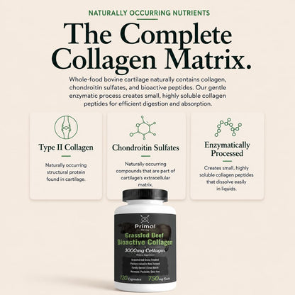 Primal Being Grassfed Beef Cartilage Collagen (Type I-V & XI)- Supports Hair, Skin, Nails, Joint Health, Immunity, Digestion, Post Exercise Recovery - 120 Capsules, 3000 mg per Serving