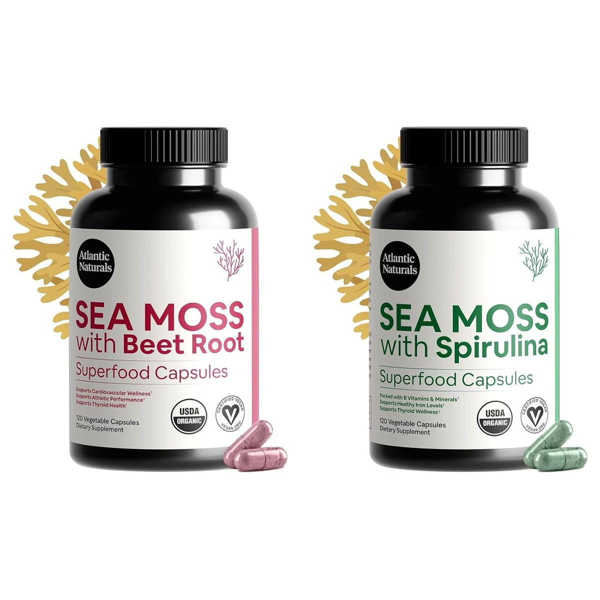Atlantic Naturals Sea Moss Superfood Bundle - Sea Moss with Beet Root & Spirulina Capsules - Defense Support, Blood Flow, Joint Health & Iron - 240 Capsules (2 x 120 ct)