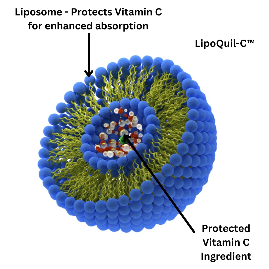 Research Labs Liposomal Vitamin C Supplement w/Enhanced Absorption LipoQuil-C™ | 2 Fer 1 ad 240 Capsules Total Immune Support Collagen Booster | High Dose Fat Soluble Vita C 1000mg Buffered | Non GMO