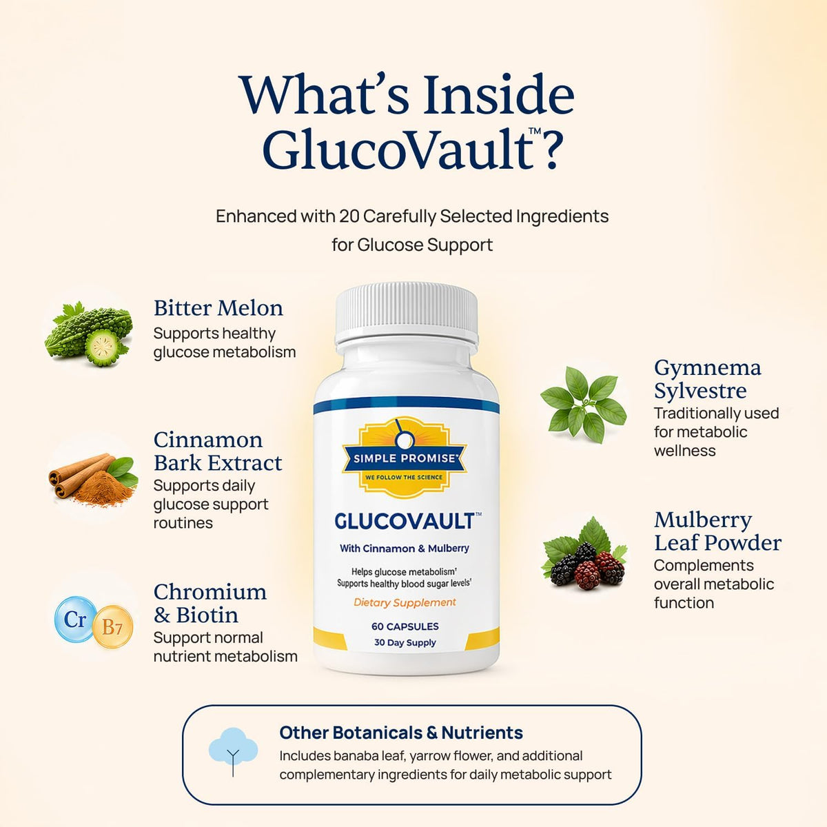 GlucoVault - Metabolic Wellness Capsules for Daily Balance - Bitter Melon | For Energy & Vitality, Mulberry Leaf and Chromium, One Scoop Daily, Non-GMO, 30 Servings