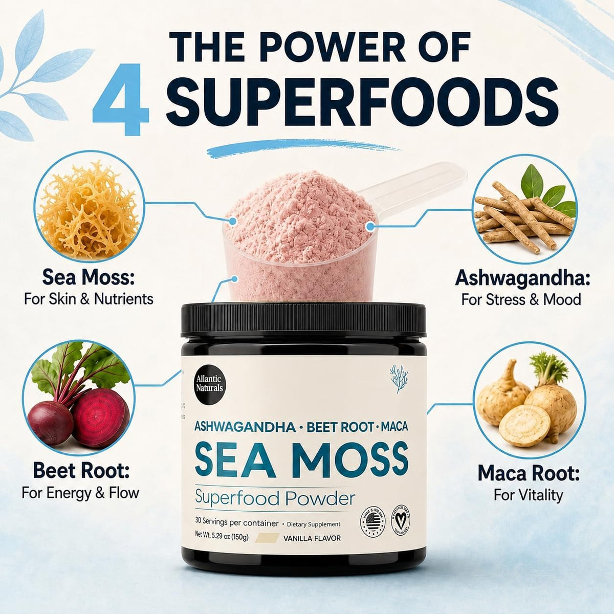 Atlantic Naturals Organic Sea Moss Powder with Beet Root Powder, Ashwagandha & Maca Root – Superfood Reds & Adaptogen Blend for Energy, Mood & Skin – Vanilla Flavor Drink Mix (150g)