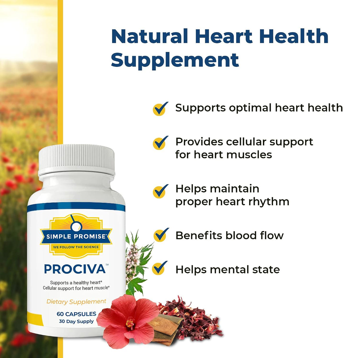 Prociva and CardioClear7 Bundle - Heart Support - Arjuna Bark and CoQ10 PQQ | Arjuna-CoQ10 Pair, For Steady Heart Wellness, With Folic Acid and Shilajit, Two Capsules Daily, 120 Count, 30 Day Supply