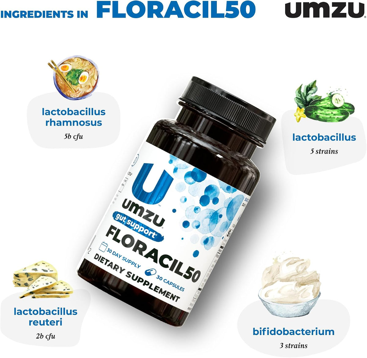 UMZU Floracil50 Probiotic Supplement, 50 Billion CFU, 30 Day Supply | Lactobacillus Acidophilus, Rhamnosus and Plantarum, Gut Health and Digestion Support, Immune Support, Microbiome Balance