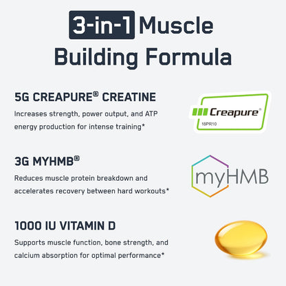 SteelFit Creatine HMB Powder - 5g Creapure Creatine Monohydrate Powder | 3g myHMB & 1000 IU Vitamin D, Workout Supplement Supports Muscle Growth, Strength, Recovery, Energy - Unflavored, 30 Servings