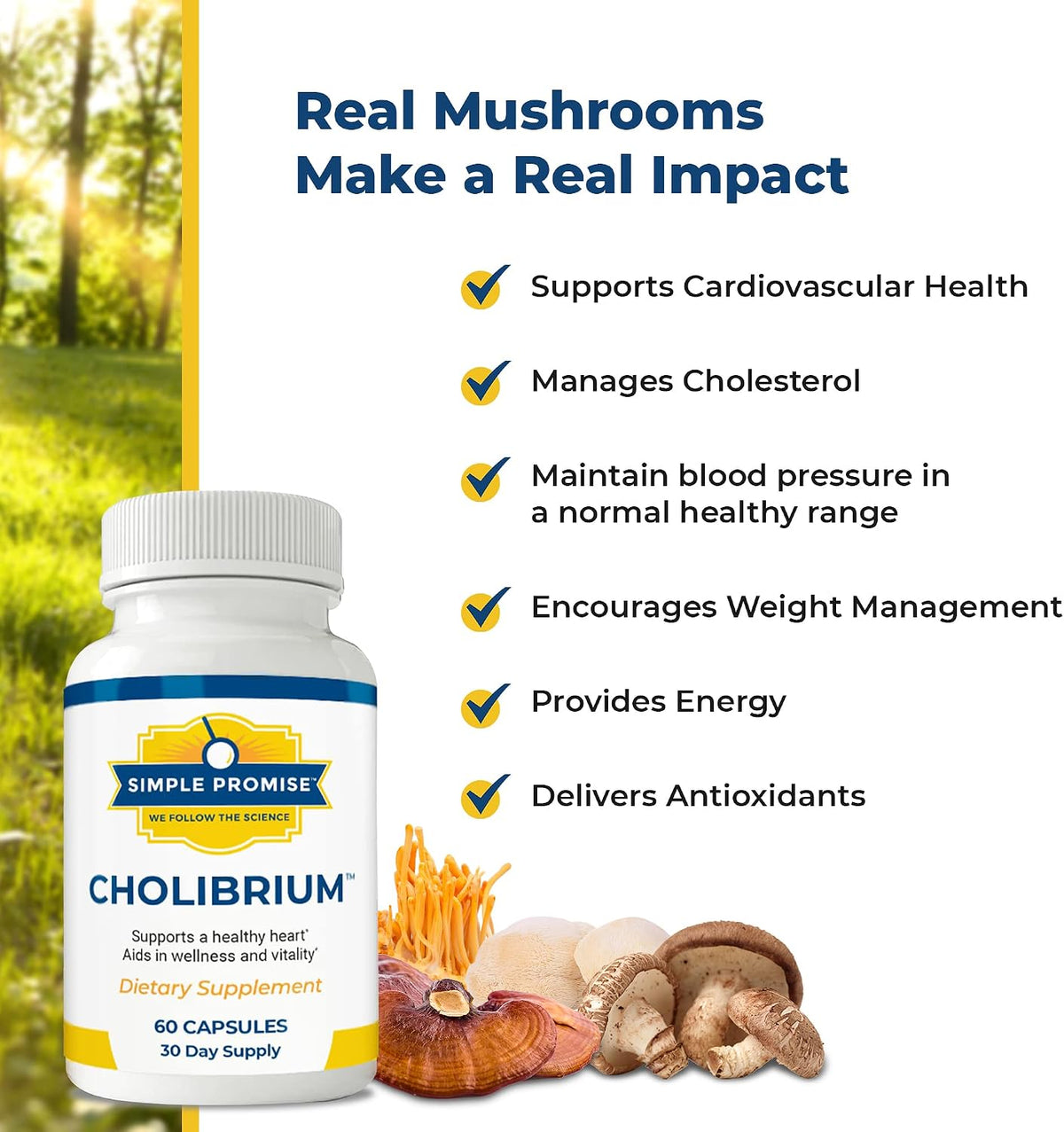 Cholibrium and CardioClear7 Bundle - Daily Energy - Mushroom Complex, CoQ10 | Mushroom-CoQ10 Pair, For Steady Daily Vitality, With Cordyceps and Shilajit, Three Capsules Daily, 30 Day Supply, Vegan