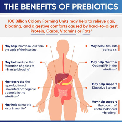 Wholesome Wellness 100 Billion CFUs with Prebiotics and Organic Probiotics 100 Billion CFU for Men and Women Bundle