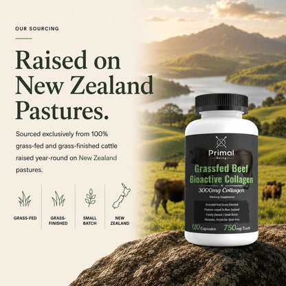 Primal Being Grassfed Beef Cartilage Collagen (Type I-V & XI)- Supports Hair, Skin, Nails, Joint Health, Immunity, Digestion, Post Exercise Recovery - 120 Capsules, 3000 mg per Serving