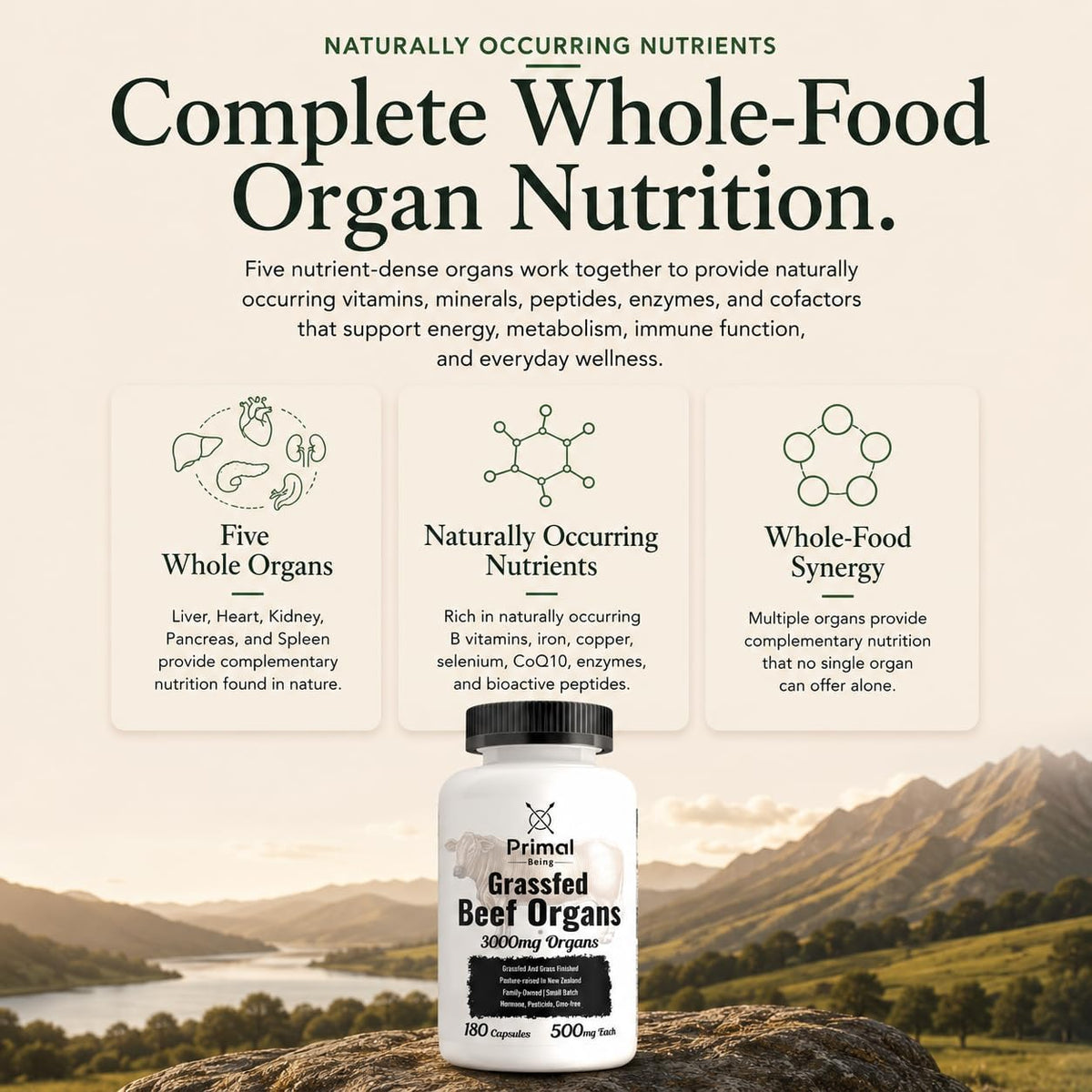 Primal Being Grassfed Beef Organ Complex - Liver, Heart, Pancreas, Spleen, & Kidney- Supports Overall Health & Performance - 180 Capsules, 3000mg per Serving