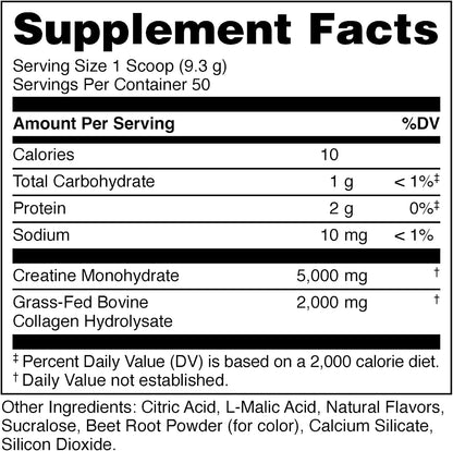 Bucked Up Creatine + Collagen for Women, Essentials (50 Servings) - Fruit Punch