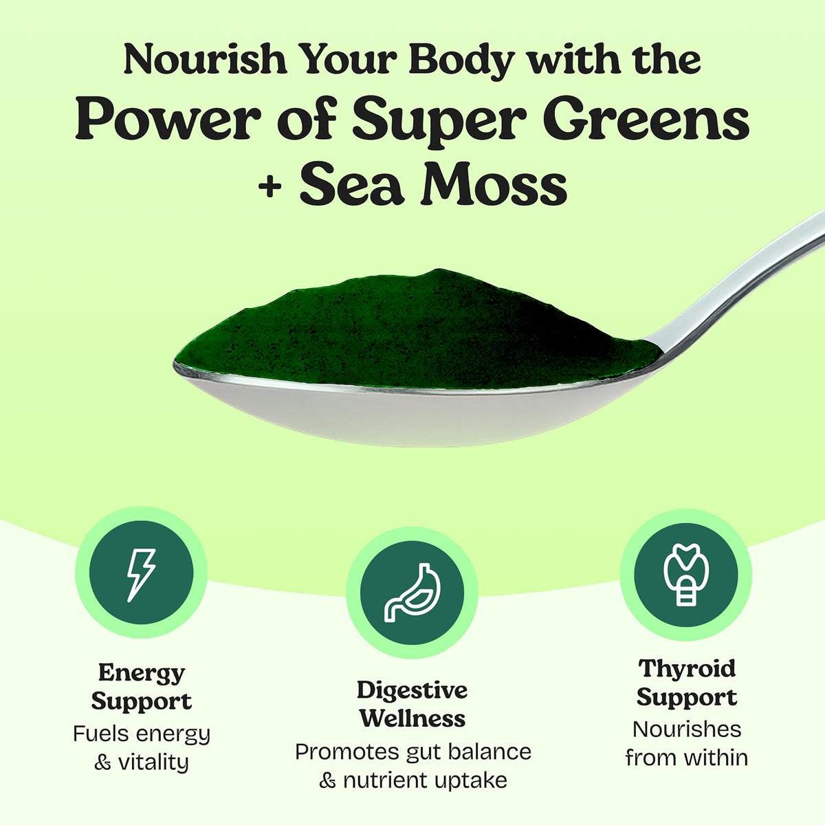 Atlantic Naturals Sea Moss Super Greens Powder – Organic Green Superfood Drink Mix with Fruits, Veggies & Probiotics – Energy, Digestion & Immune Support – 5000mg, Mixed Flavor