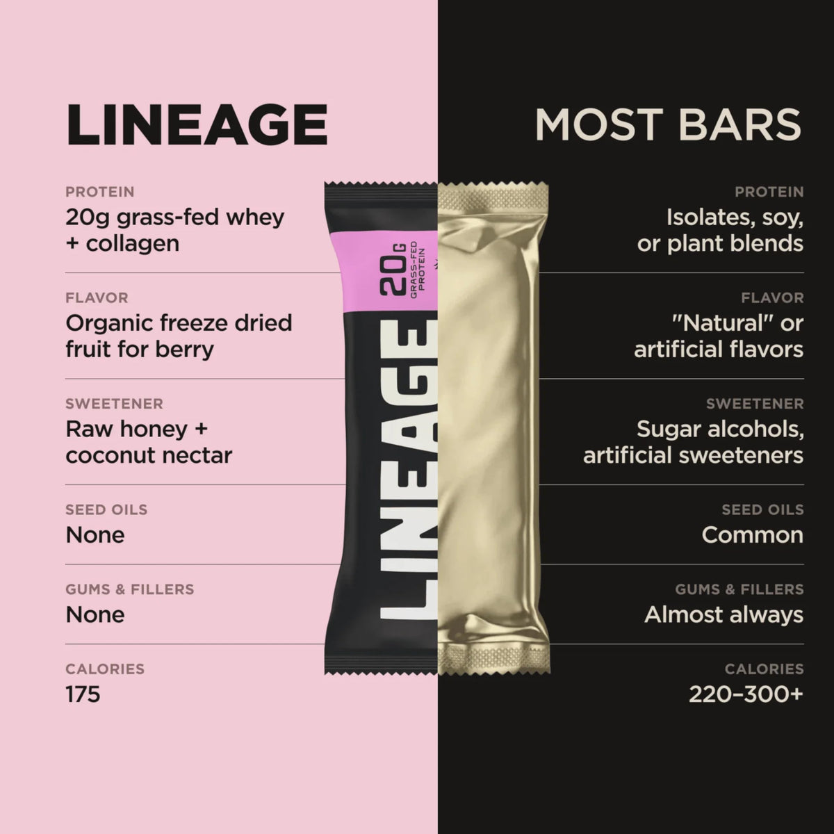 Lineage Provisions Chocolate Protein Bars, 12 Pack | 20g grass fed whey protein & collagen, gluten free, no seed oils, nothing artificial, with raw honey