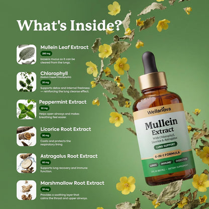 Mullein Drops for Lungs - Mullein Leaf Extract Supplement | for Women & Men, 6-in-1 Lung Detox And Bronchial Cleanse For Smokers, Respiratory Health Support, 2 Fl Oz