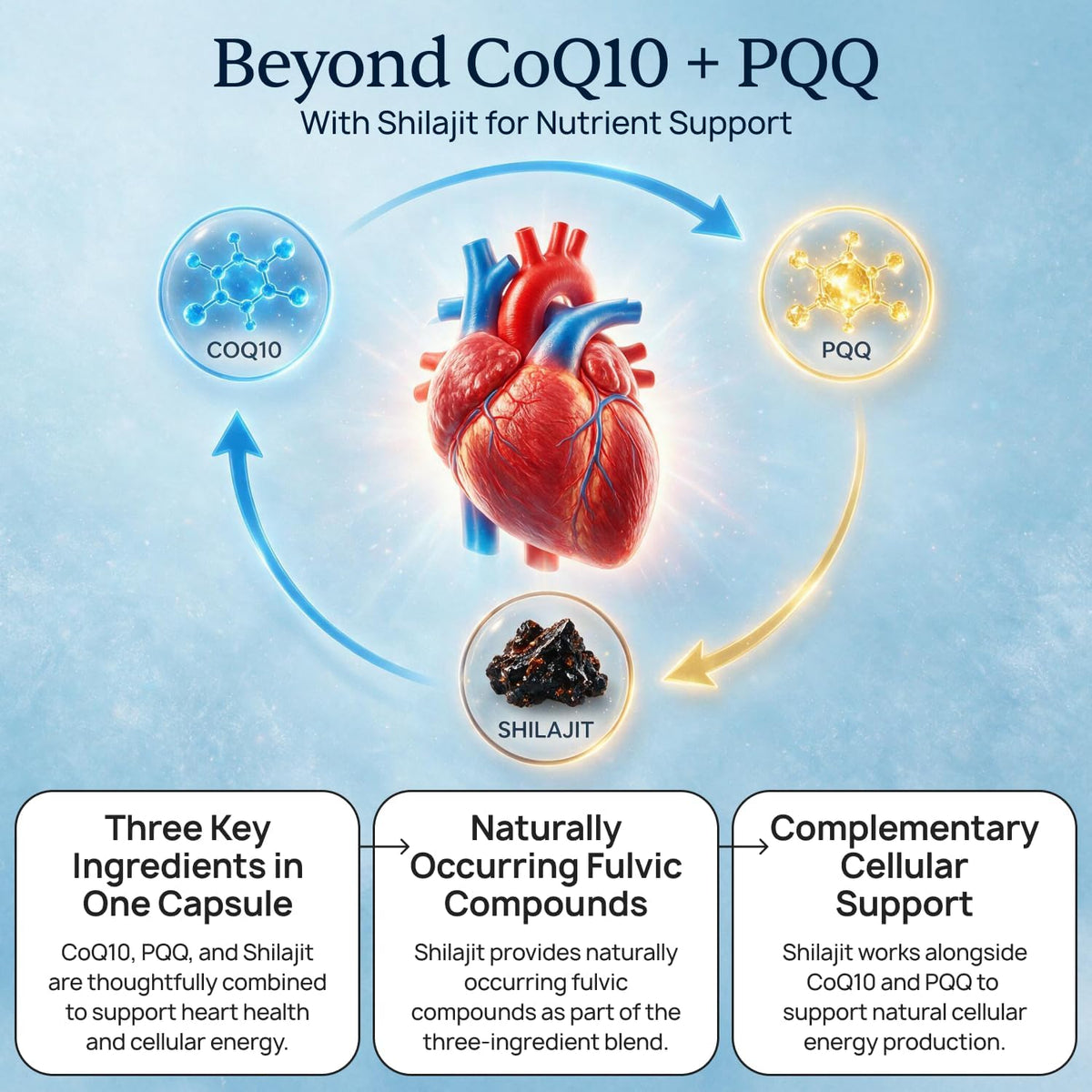 CardioClear7 - Coq10 PQQ Heart Supplement - Shilajit for Daily Wellness | 3-in-1 Heart Support, For Energy & Circulation, Enhanced Absorption With Shilajit, One Capsule Daily, 30 Day Supply