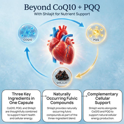 CardioClear7 - Coq10 PQQ Heart Supplement - Shilajit for Daily Wellness | 3-in-1 Heart Support, For Energy & Circulation, Enhanced Absorption With Shilajit, One Capsule Daily, 30 Day Supply