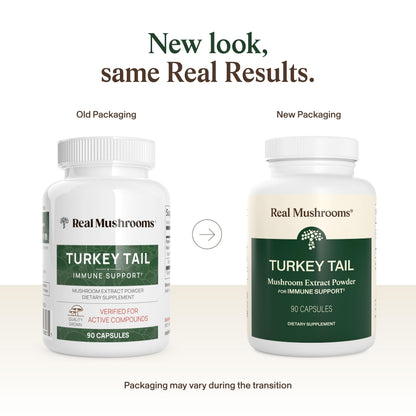 Real Mushrooms Turkey Tail Capsules – Organic Mushroom Extract for Wellness & Daily Rhythm – Vegan, Non-GMO, No Fillers Turkey Tail Extract – 90 Count Mushroom Supplement