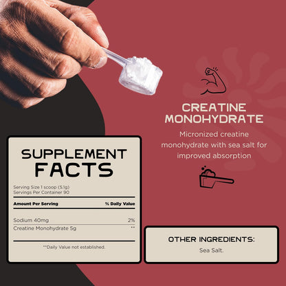 Lineage Provisions Creatine Monohydrate with Sea Salt, Bulk 3-Pack | Micronized creatine powder, unflavored creatine supplement for men & women, easy mix, 90 servings each.