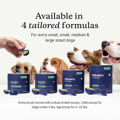 PetLab Co. – Breath & Joint Bundle: Dental Powder for an Effortless Clean in 1 Scoop for Large Dogs & Joint Care Chews for Dogs Supporting Mobility & Occasional Joint Stiffness