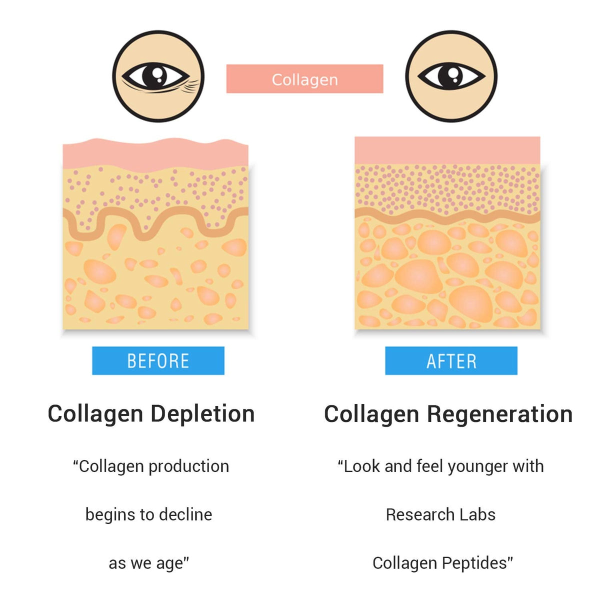 Research Labs 2 for 1 Promo 240 Collagen Pills - 6000 mg Per Day. Grass Fed Anti-Aging Support for Skin, Joints, Tendons, Bones, Hair and Nails. Paleo Friendly. Collagen Peptides Powder Supplement…