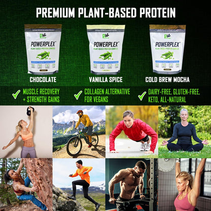 PhysiVantage POWERPLEX Vegan Protein Powder, Collagen Alternative - Organic Plant-Based Pea & Rice Protein, Dairy-Free, Non-GMO, Supports Muscle & Joint Recovery, Monk Fruit Sweetened 2 lb (Vanilla)