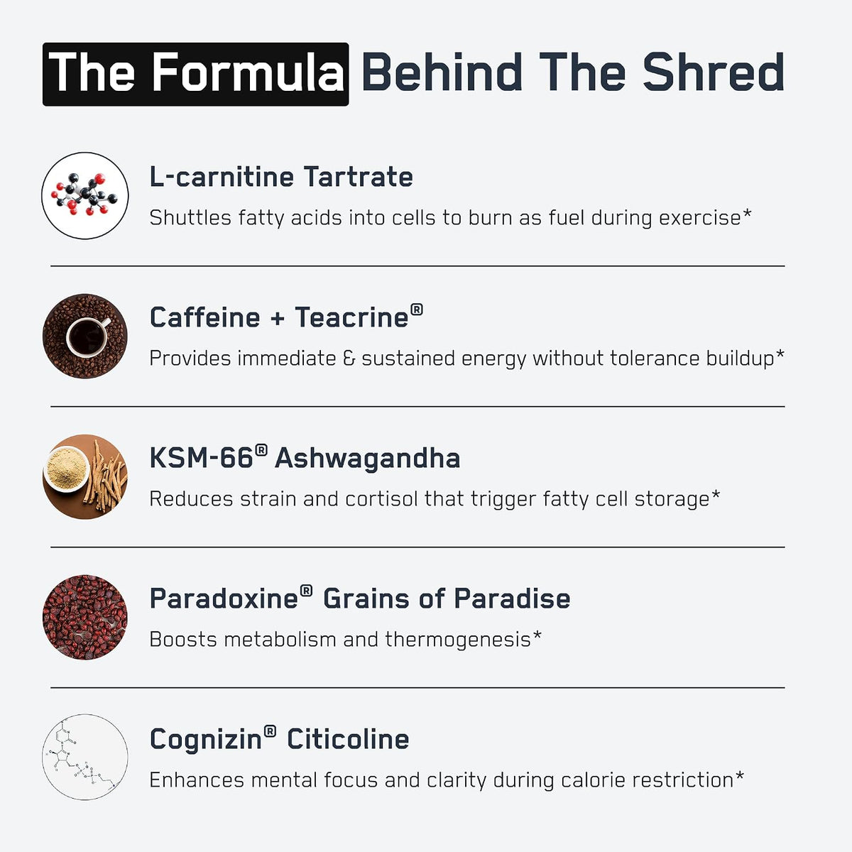 SteelFit Shredded Steel - Extreme Weight Loss Supplement - 90 Count | Thermogenic, Fat Loss, Energy, Boost Metabolism, Appetite Suppressant, Yohimbine, Teacrine, & Paradoxine - 1 Month Supply