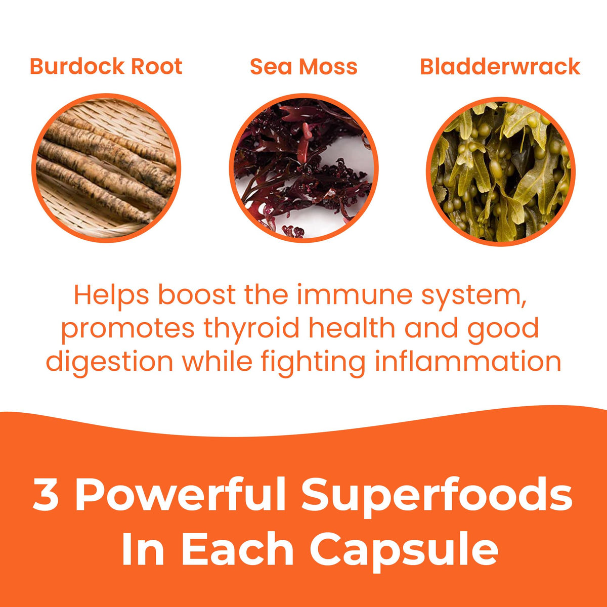 INFINITE AGE 1250mg Sea Moss Advanced Superfood Capsules, 60 Count - High-Potency, Vegan, Made in The USA - Irish Seamoss, Bladderwrack,