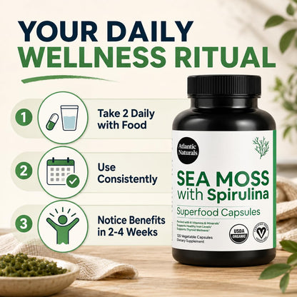 Atlantic Naturals Sea Moss with Beet Root Capsules - Premium Quality Multivitamin Supplement - Sea Moss Superfood to Support Immune Health, Blood Flow, Joint Health & Athletic Performance - 120 ct