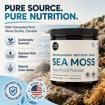 Atlantic Naturals Organic Sea Moss Powder with Beet Root Powder, Ashwagandha & Maca Root – Superfood Reds & Adaptogen Blend for Energy, Mood & Skin – Vanilla Flavor Drink Mix (150g)