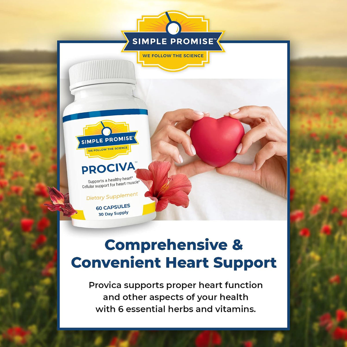 Prociva and CardioClear7 Bundle - Heart Support - Arjuna Bark and CoQ10 PQQ | Arjuna-CoQ10 Pair, For Steady Heart Wellness, With Folic Acid and Shilajit, Two Capsules Daily, 120 Count, 30 Day Supply