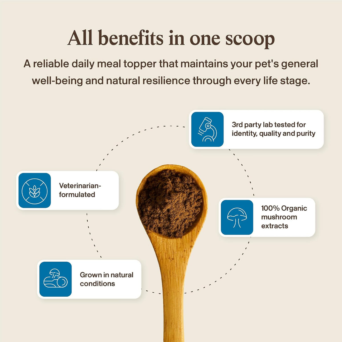 Real Mushrooms Whole Dog Health – Functional Mushroom Blend for Dogs with Lion’s Mane, Cordyceps, Turkey Tail, Reishi, Shiitake for Overall Wellbeing of Dogs – 2.65 oz Powder Supplement