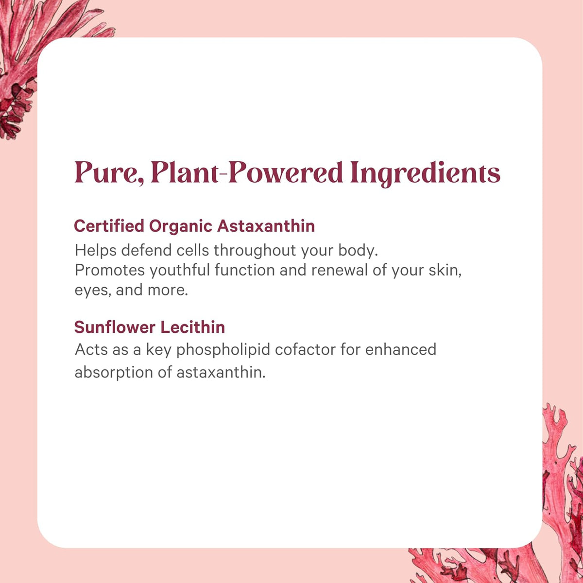 PURE SYNERGY SuperPure Astaxanthin Extract | Organic Astaxanthin from Algae with Sunflower Lecithin | Antioxidant Support for Skin and Eye Health (60 Capsules)