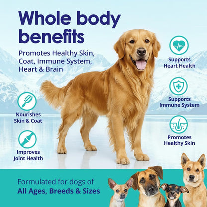 Liquid Fish Oil for Dogs with Omega 3, 6 & 9 Fatty Acids, Wild Caught from Iceland, Skin and Coat Supplement for Shedding, Itchy Skin, Allergies, Brain and Heart Health, Rich in EPA + DHA - 16 oz