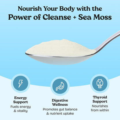 Atlantic Naturals 7 Day Whole Body Cleanse – Detox Drink Mix with Sea Moss, Psyllium Husk Fiber, Flaxseed & MSM – Colon, Debloat & Digestive Support for Women & Men – Pineapple Flavor, 14 oz