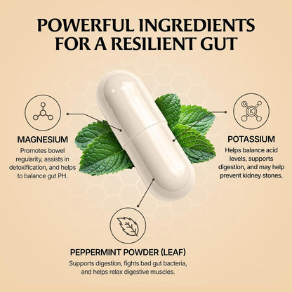 Paulina FITNESS Reset PM Gut Cleanse for Women Overnight 8-Hr Digestive Aid | Bloating Relief & Gut Health Supplement, Natural Detox & Cleanse, Supports Weight Management, Relieves Constipation