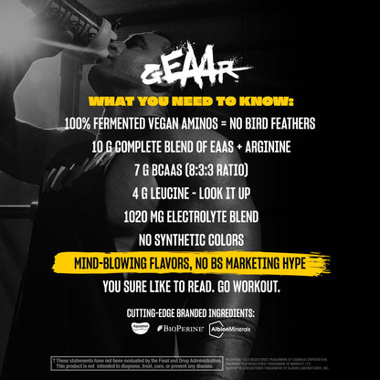 Mutant GEAAR, 10g EAAs + Arginine, Electrolytes, Fruit Punch, 14.8 oz