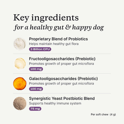 PetLab Co. – Gut & Digest Daily Duo: Pumpkin Powder Blend for Easy Digestion & Firm Stools for Small/Medium/Large Dogs & Salmon‑Flavoured Probiotic Chews to Support Gut & Immune Balance – Easy to Use