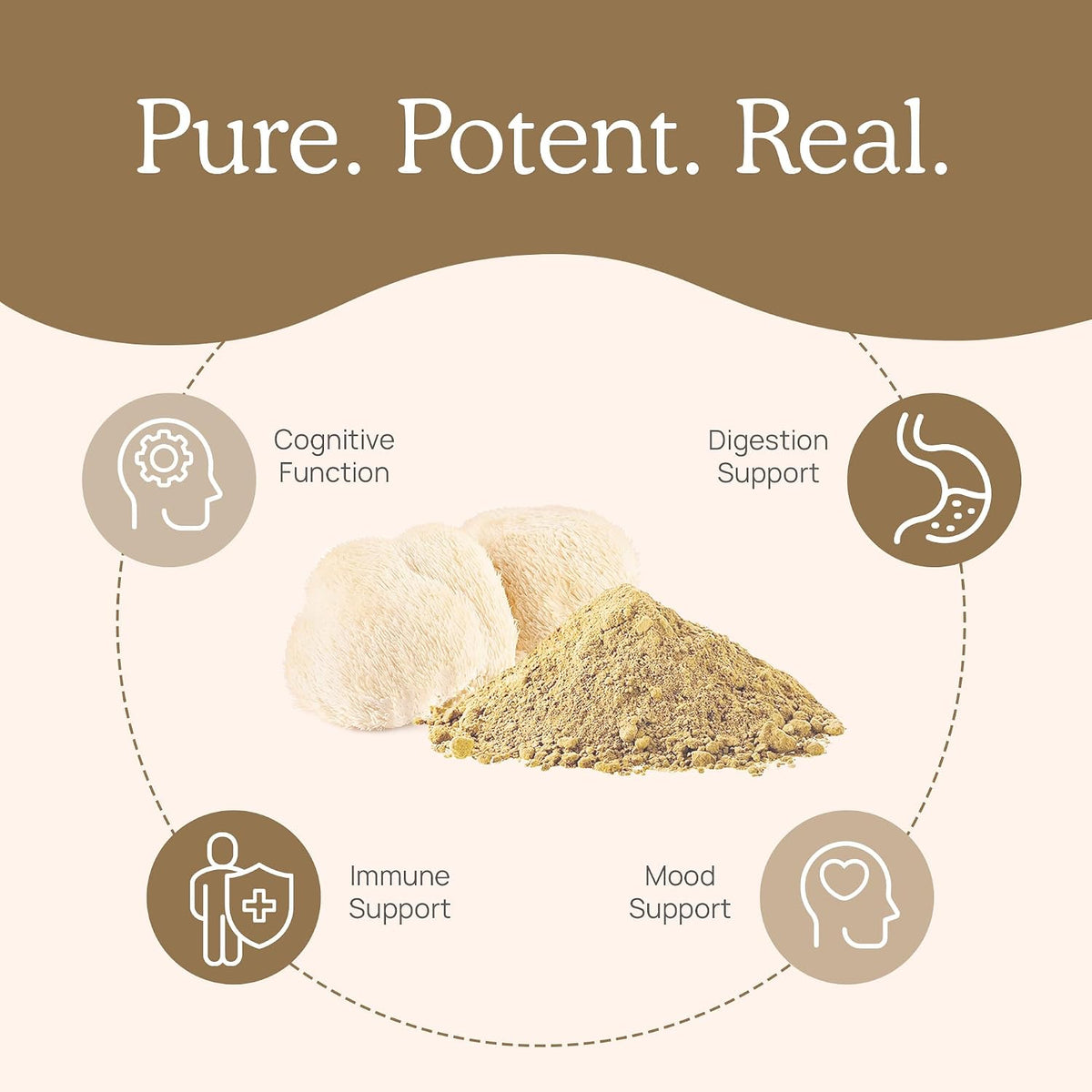 Real Mushrooms Ergothioneine (60ct) and Lions Mane (120ct) Bundle with Shiitake and Oyster Mushroom Extracts - Longevity and Cognition - Vegan, Gluten Free, Non-GMO