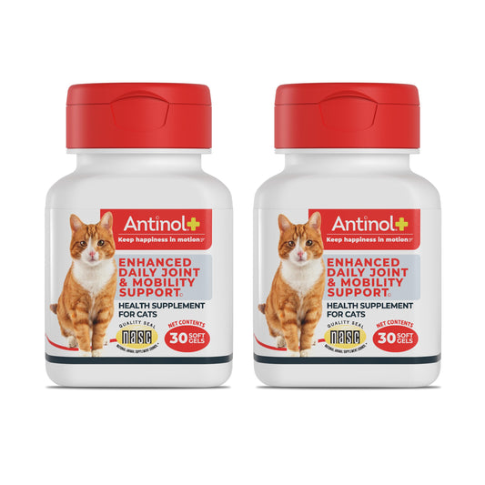 Antinol Plus, Mobility, Hip, and Joint Supplement for Cats, Green-Lipped Mussels and Krill Oil - Cat Joint Supplement, 60 Soft Gels AntinolBuy Supplements Australia