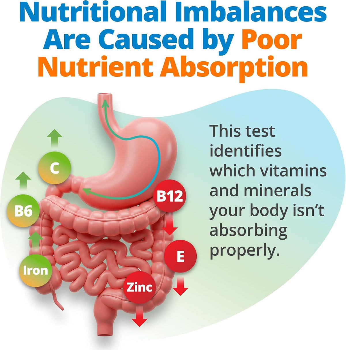 5Strands Health & Wellness Assessment for Adults & Kids Including 3 Tests
