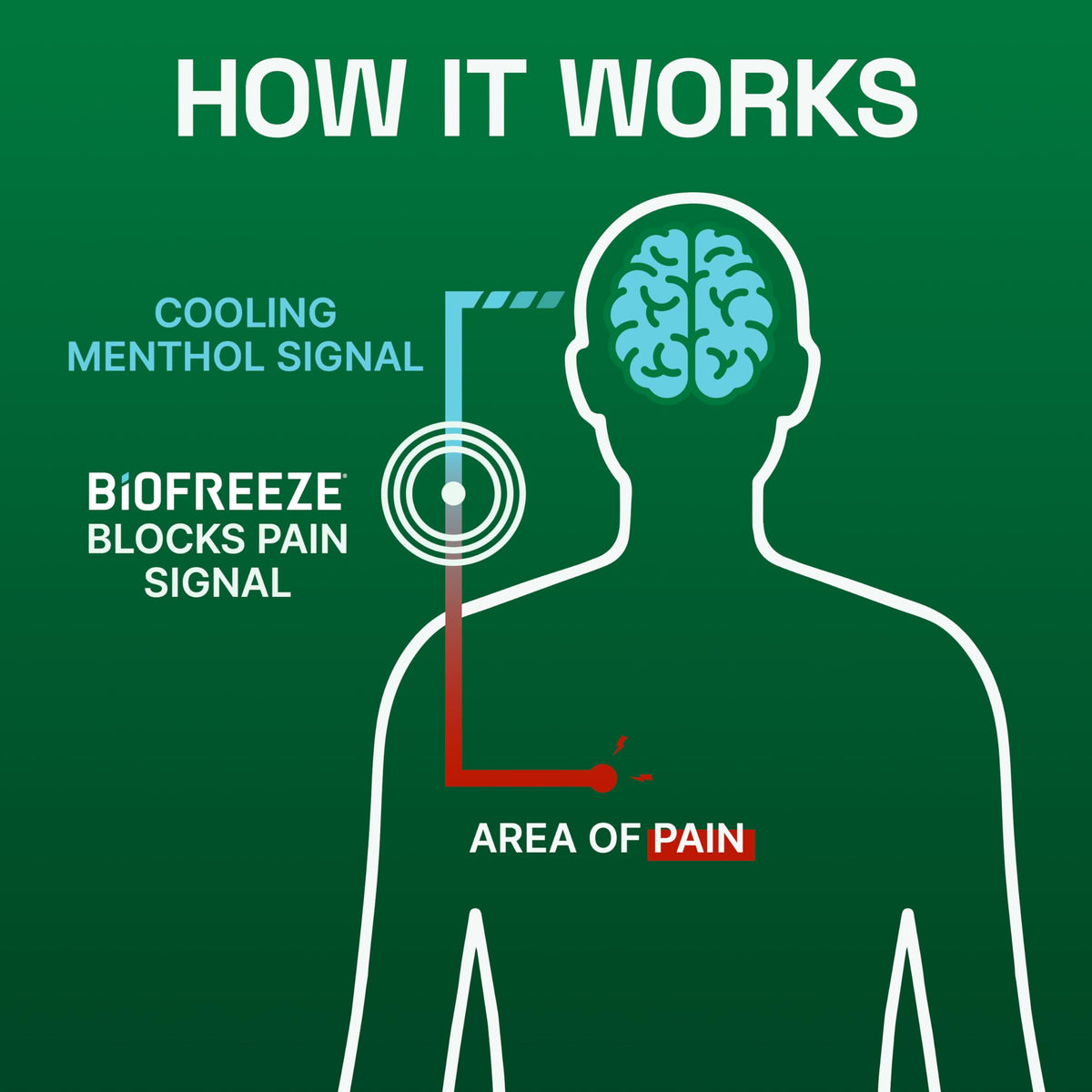 Biofreeze Gel Menthol Pain Relieving Colorless Gel 4 FL OZ Tube For Pain Relief Associated With Sore Muscles, Arthritis, Simple Backaches, And Joint Pain BiofreezeBuy Supplements Australia